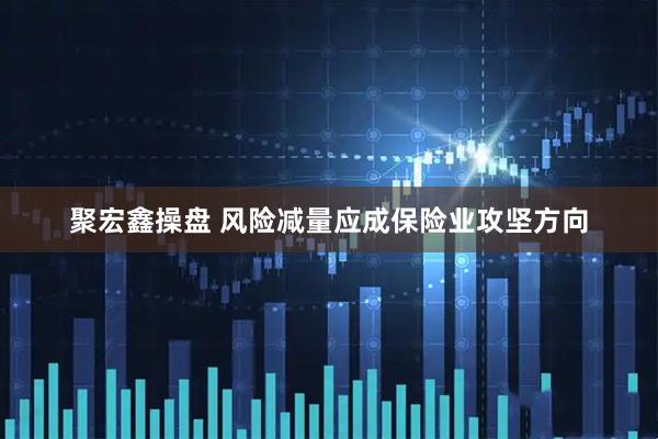 聚宏鑫操盘 风险减量应成保险业攻坚方向